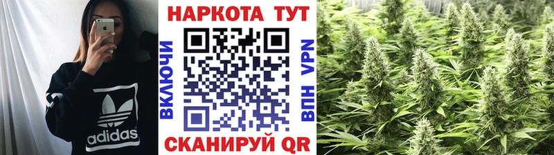 Магазины продажи наркотиков Кировград COCAIN APVP Мефедрон Гашиш Бошки Шишки