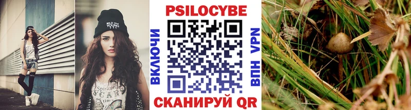 Галлюциногенные грибы прущие грибы  цена наркотик  Кировград 